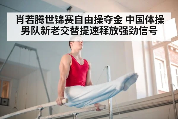chinese gymnastics team training